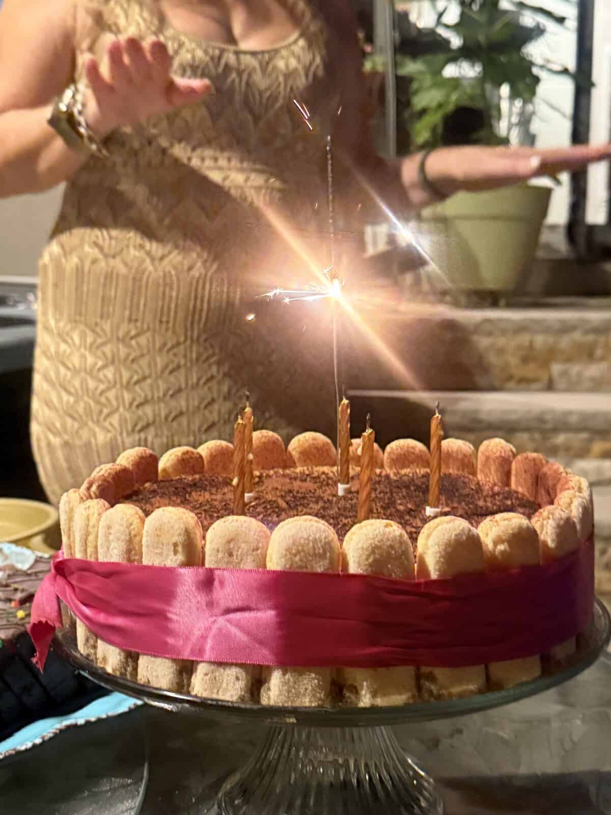 A tiramisu cake with ladyfingers and a pink ribbon is topped with candles and a sparkling candle. A woman in a sleeveless dress stands behind the cake, with her arms raised, and plants are visible in the background.