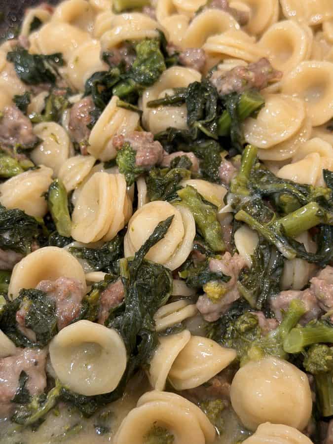 Orecchiette pasta tossed with sausage and broccoli rabe.